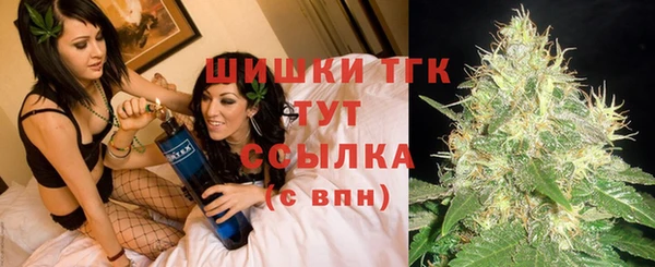 прущие грибы Алексин