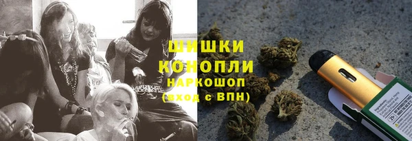 spice Абаза