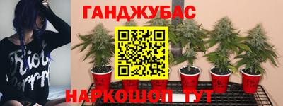 apvp Бузулук