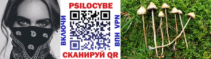 Псилоцибиновые грибы мицелий  mega зеркало  Балахна 