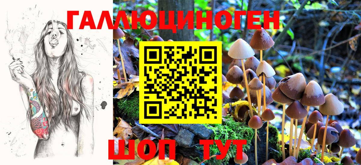 Псилоцибиновые грибы MAGIC MUSHROOMS Балахна