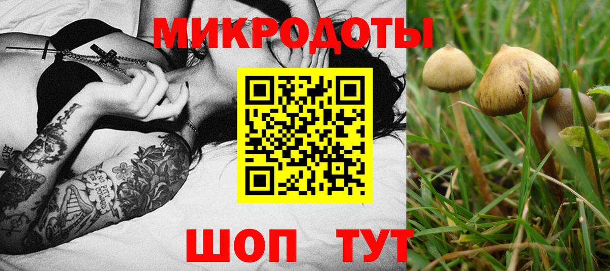 Балахна  Псилоцибиновые грибы Magic Shrooms  Вход с VPN 